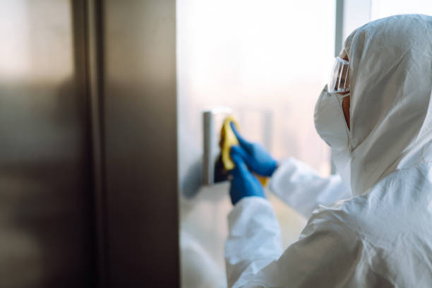  Freeport, FL Mold Removal Pros